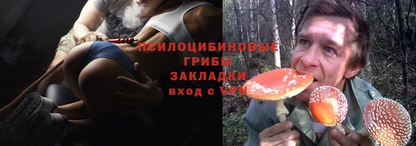соль ск Богородицк