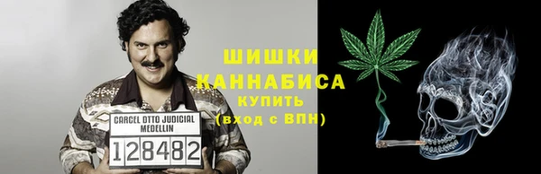 mix Богородск