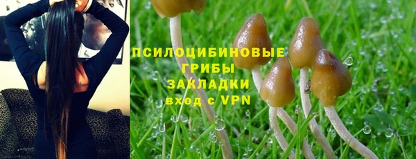 соль ск Богородицк